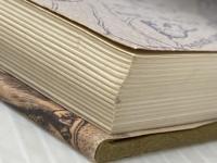 中世を旅する人びと: ヨ-ロッパ庶民生活点描 平凡社 阿部 謹也※イタミ有