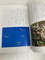 北海道山女魚の本 (1984年)