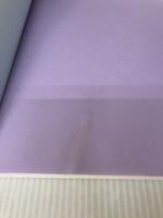 【イタミ有り】おとなの自閉スペクトラムーメンタルヘルスケアガイド 金剛出版 本田 秀夫