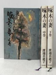 啄木の妻 上中下巻セット 毎日新聞社 渡辺喜恵子※イタミ有