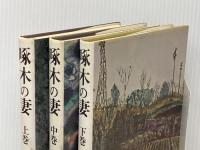 啄木の妻 上中下巻セット 毎日新聞社 渡辺喜恵子※イタミ有