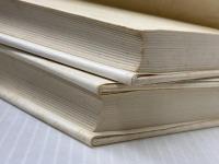 大江健三郎 上下２冊セット 洪水はわが魂に及び 純文学書下ろし作品 新潮社※イタミ有