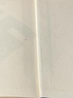 20世紀最後の真実 (1980年)