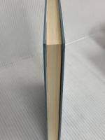 日本のアウトサイダー (1959年)