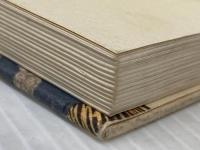 船場情艶 毎日新聞社 花登 筐※イタミ有