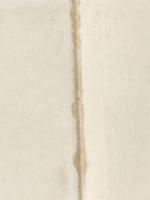 船場情艶 毎日新聞社 花登 筐※イタミ有