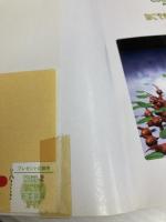 【※付録欠品】ピクミン2ねこそぎお宝回収ガイド KADOKAWA(エンターブレイン) ファミ通書籍編集部