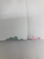 ヨモツイクサ 双葉社 知念 実希人