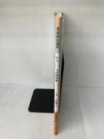 【※付属品欠品】書道技法講座 (31) 新装版　寸松庵色紙　二玄社 杉岡 華邨