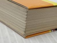 どんな店でも必ず伸びる (MIP選書) 経営情報出版社 須田泰三※イタミ有