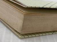 雪印乳業―総合食品企業をめざす (1981年) (ザ・会社シリーズ〈74〉) 朝日ソノラマ 堀田 真康