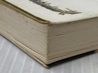 逆転の将棋 (プレイブックス) 青春出版社 加藤一二三 ※イタミ有