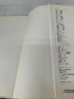 【※イタミ有り】パステル初級レッスン (みみずく ビギナー シリーズ) 視覚デザイン研究所 早坂 優子