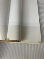 【※イタミ有り】パステル初級レッスン (みみずく ビギナー シリーズ) 視覚デザイン研究所 早坂 優子