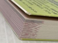 Dr.ワハハが考える　お子さまの未来を変える小児歯科とは