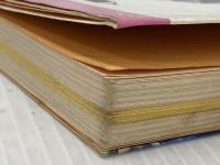 犯人はだれだ: 君は鬼刑事 (なかよし入門百科) 有紀書房 桜田 門次郎※イタミ有