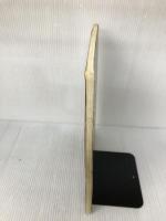 【※書き込み有り】BS メガデス/破滅へのカウントダウン リットーミュージック