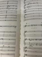 【※イタミ有り】BS BUCKTICK/殺シノ調ベ ドレミ楽譜出版社