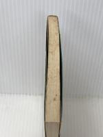 冥途の家族 (講談社文庫 と) 講談社 富岡 多恵子※イタミ有