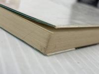 冥途の家族 (講談社文庫 と) 講談社 富岡 多恵子※イタミ有