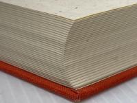 民族の世界史〈6〉東南アジアの民族と歴史 (1984年) 山川出版社 ※イタミ有