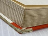 経営戦略の総点検―企業の優勝劣敗は何で決まるか (1978年) マネジメント社 田岡 信夫※イタミ有