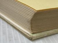 サバイバルの時代―危機の正体と生存への選択 (1978年) リサーチ出版 石原 秀登※イタミ有