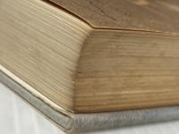 ダラスの熱い日 (1974年)  マーク・レーン