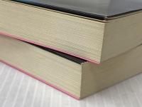 指し手の顔 －脳男2－ 上下巻セット (講談社文庫)