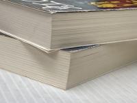 虹の谷の五月 (上)(下)巻セット (集英社文庫) 集英社