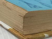 長鼻くんといううなぎの話 (世界の児童文学名作シリーズ) 講談社 K・イオシーホフ※カバー無し