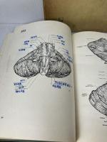 【※書き込み有り】実習人体解剖図譜