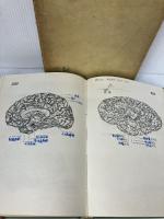 【※書き込み有り】実習人体解剖図譜