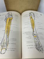 【※書き込み有り】実習人体解剖図譜