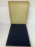 【※難あり】発生学提要 金原出版 溝口 史郎