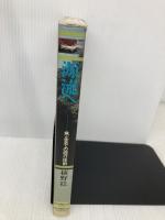 源流へ: 魚止までの溯行技術 GEGRAF 植野 稔