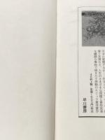 24人のビリー・ミリガン 上下巻セット※イタミ有