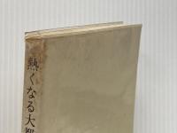 熱くなる大都市 (NHKブックス) NHK出版 尾島俊雄※イタミ有
