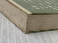 熱くなる大都市 (NHKブックス) NHK出版 尾島俊雄※イタミ有