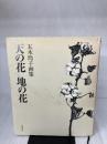 【※イタミ有り】天の花 地の花(五木玲子画集) 柘植書房新社 五木 玲子
