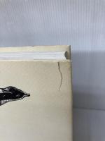 【※イタミ有り】天の花 地の花(五木玲子画集) 柘植書房新社 五木 玲子