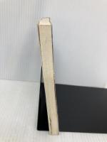 【※多数の書き込み有】一切は空: 般若心経・金剛般若経 (集英社文庫 ひ 10-1) 集英社 平田 精耕