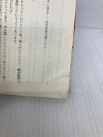 【※多数の書き込み有】一切は空: 般若心経・金剛般若経 (集英社文庫 ひ 10-1) 集英社 平田 精耕