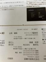 【※付属品欠品】FINAL FANTASY 11 PS2・Windows版 World Concept (Shueisha V-Jump) 集英社 Vジャンプ編集部