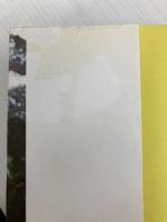 八極拳 (中国伝統拳シリーズ 2) 福昌堂 張 世忠