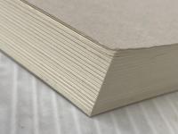 心と体にすーっとしみこむミクロ経済学 中央経済社 市野　泰和※カバー無し