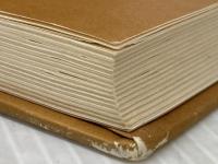 西郷隆盛獄中記―奄美大島と大西郷 新人物往来社 昇曙夢※カバー無し