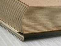 同行者たち―「重症児施設」島田療育園の二十年 (1983年) 千書房 荘田 智彦