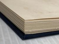 ルツ記注解 新約社 樋口信平※イタミ有