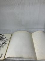 もりえもん (1976年)